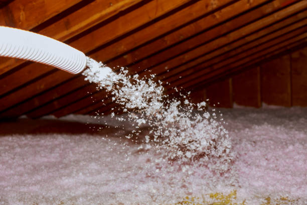 Best Cellulose Insulation  in Hamilton, MO