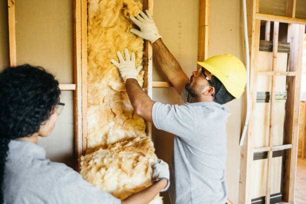 Best Soundproof Insulation Installation  in Hamilton, MO