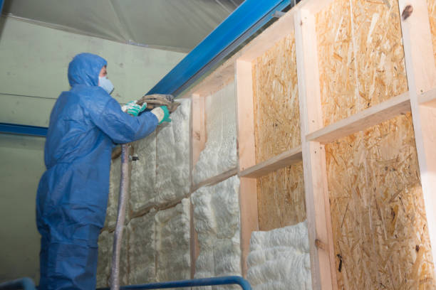 Best Fiberglass Insulation  in Hamilton, MO